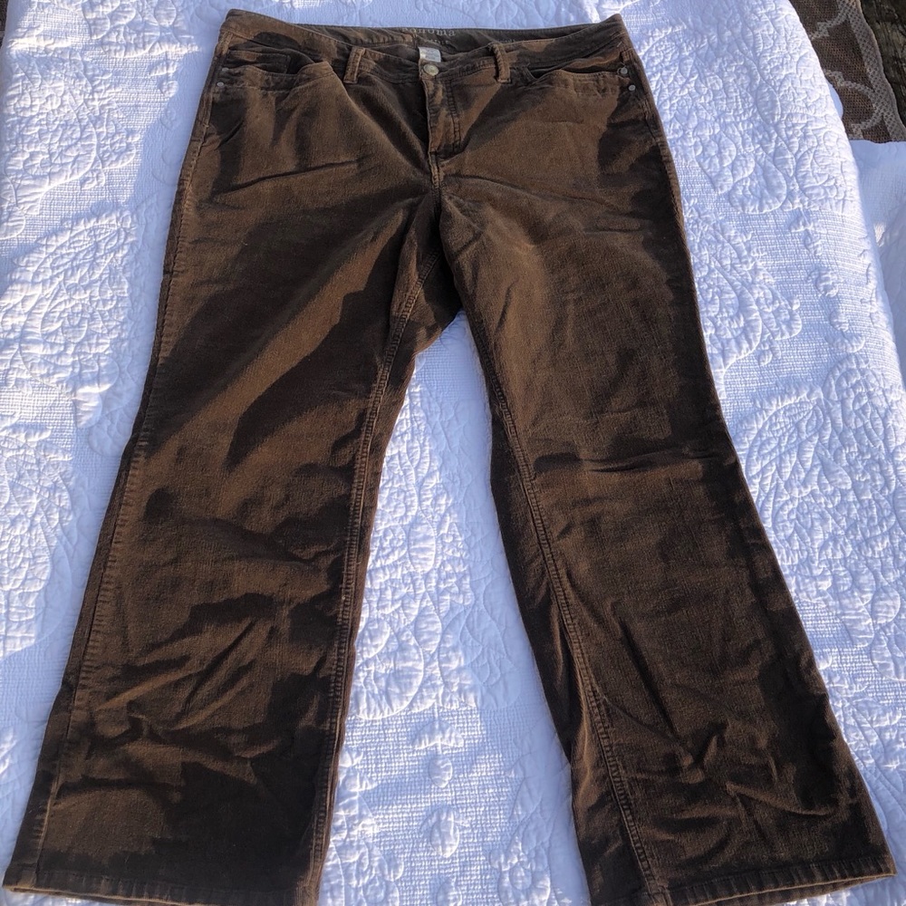 18W Sonoma Chocolate Brown Corduroy Pants, Bootcut